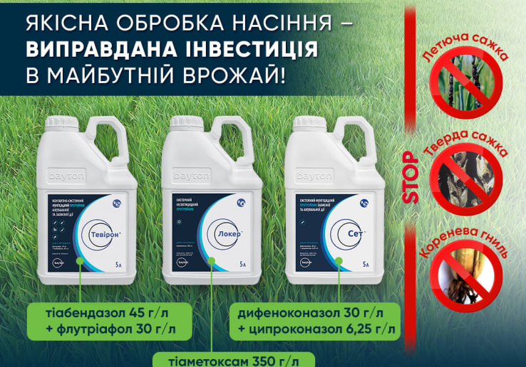 Особенности защиты всходов посевов озимой пшеницы от возбудителей болезней и вредителей в осенний период вегетации 2025 года